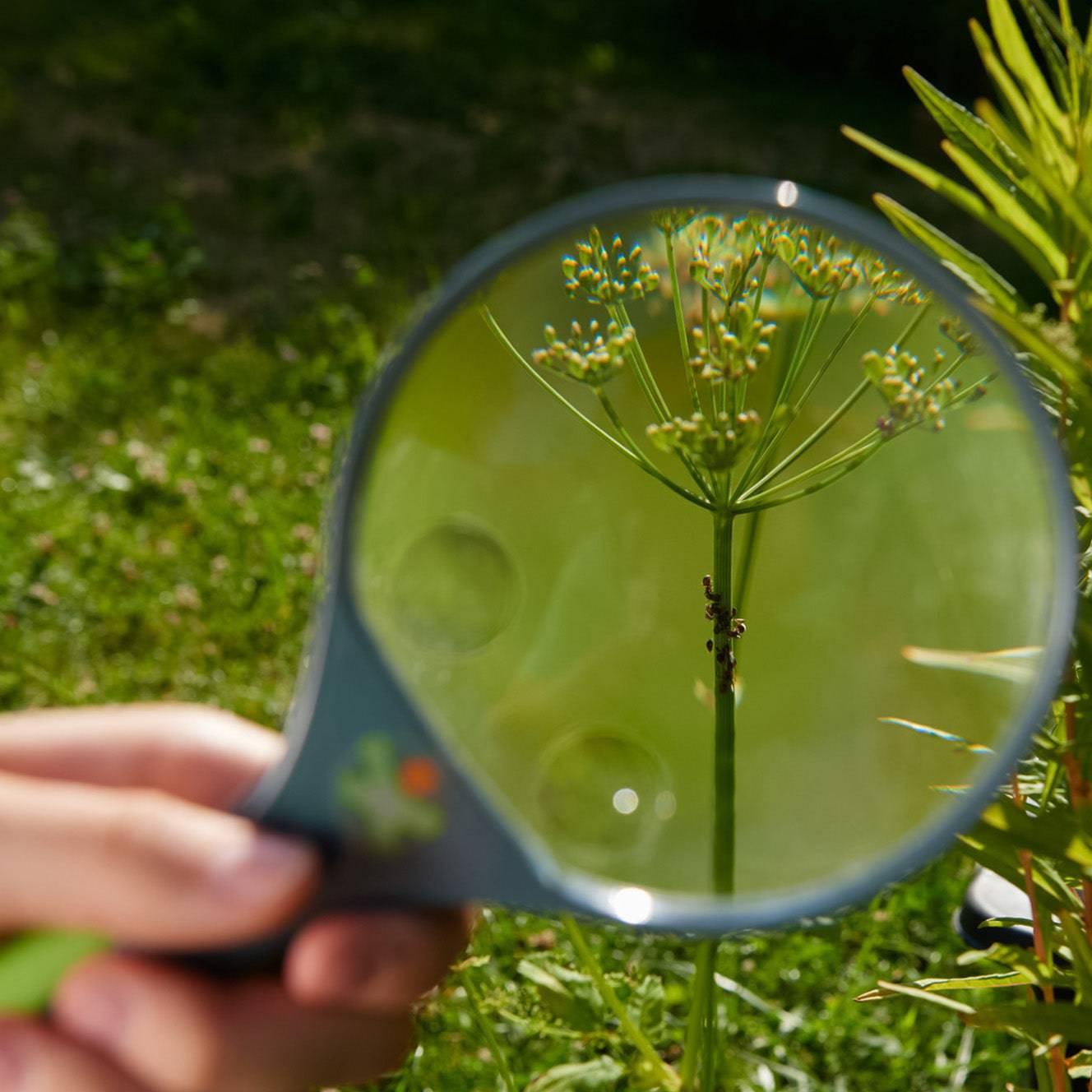 Kids Magnifying Glass