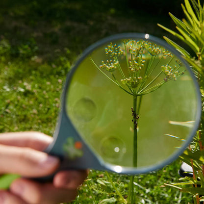 Kids Magnifying Glass